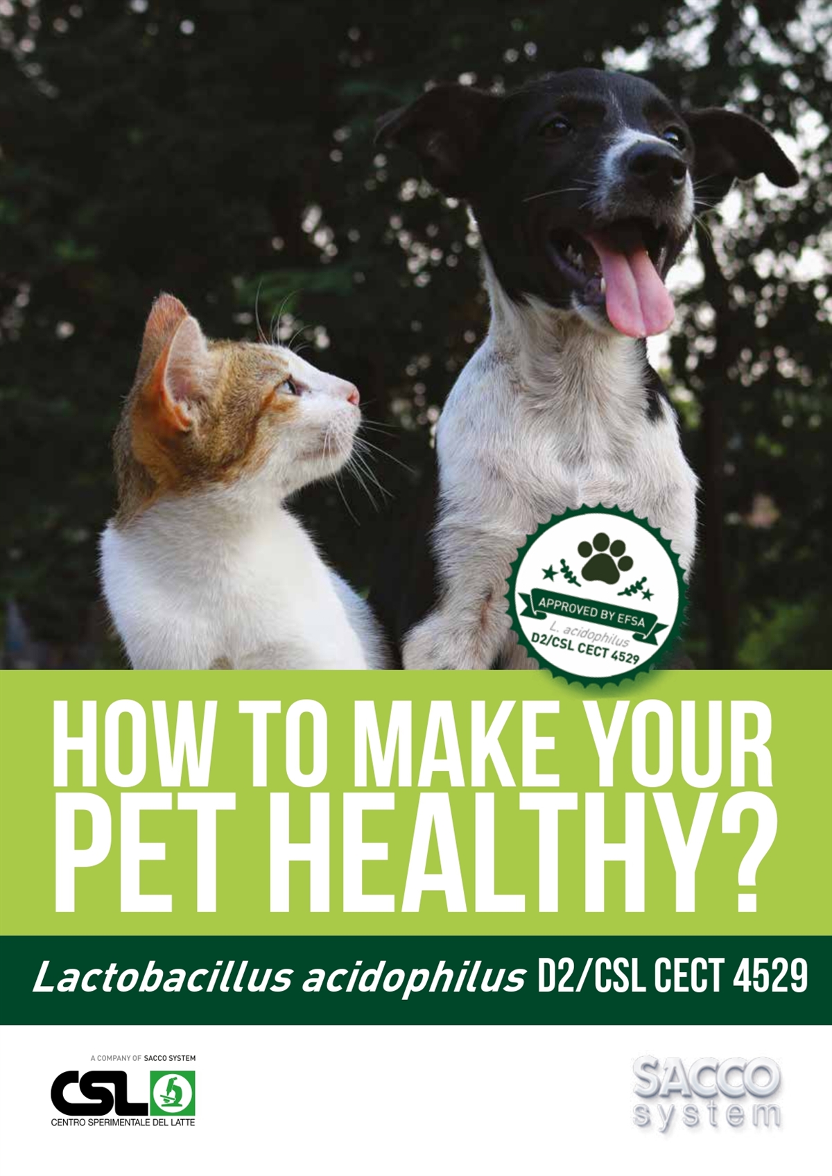 551-49630293-Lactobacillus_D2-PET-sfogliabile_2019_page-0001